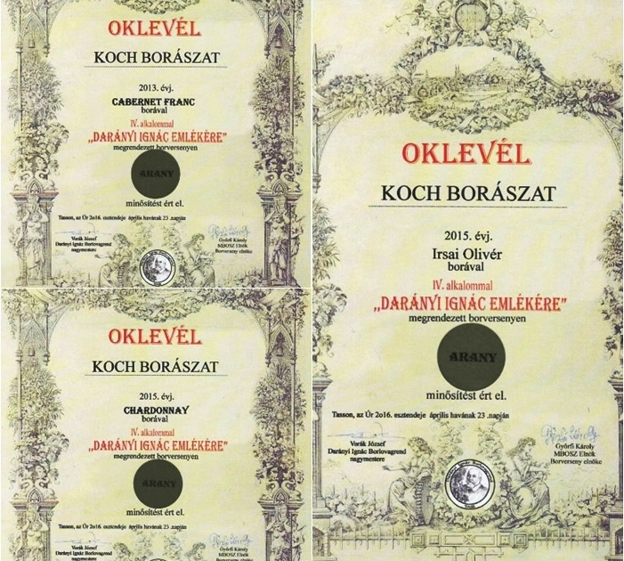 Dar&aacute;nyi Ign&aacute;c eml&eacute;k&eacute;re