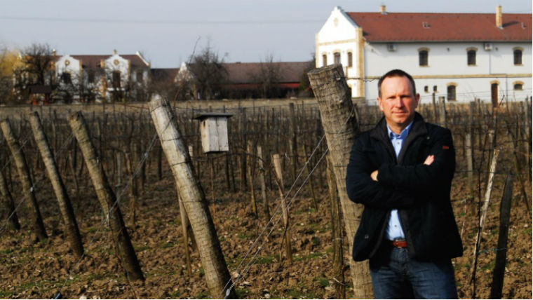 Koch Csaba ismét Év Bortermelője jelölt